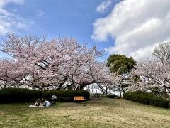 【2022年の桜】

久しぶりに味わう日本の桜は、美しかった...