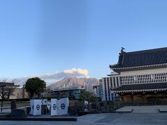 【鹿児島県歴史・美術センター 黎明館】

鶴丸城といっても天守はなく、博物館になってます。
ここの庭から見える桜島も最高！