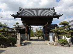 道なりに歩いていって、なんとか誉田八幡宮にたどり着きました。

こちらは南大門。神宮寺だった長野山護国寺の遺構とのことです。

誉田八幡宮は全国で最も古い八幡宮です。