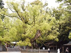 大山祇神社 パワースポット