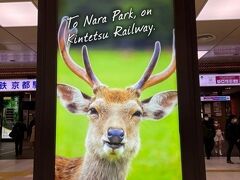 京都駅に到着―。
ロッカーに荷物を放り込んで本日は奈良へ向かいます。

近鉄の入り口で鹿が笑顔で迎えてくれた。
そんな可愛い顔をされても今日は奈良公園へは行かないんだ、ごめんね。
