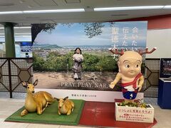 近鉄奈良駅に来たら、こやつを撮らねばならぬ。