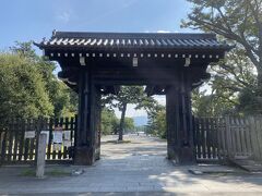 京都御苑もとても広いので全部は回らず、丸田町通り側から入って蛤御門までです。