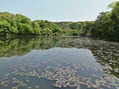 小呂池にも寄って行きます。
個人的には道根往還の道中、沿線の中ではこの池が一番の見所かなと思います。