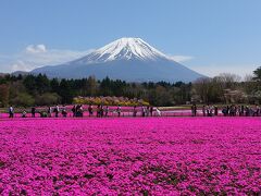 芝桜まつりに到着！この日は快晴でパンフレット通りの景色が見れました。