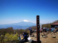 1時間ほど登って金時山山頂へ到着。
富士山が見事。