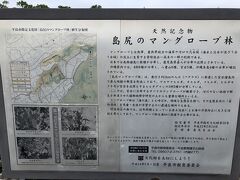 大神島から宮古島の島尻漁港に戻った後で、宮古島を観光します。
まずは島尻のマングローブ林を見に行きました。