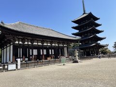 興福寺五重塔と東金堂。東金堂の中を拝観します。