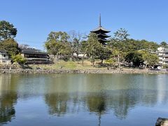 猿沢池からの興福寺五重塔。池の周りには人々がのんびりとくつろいでいます。この景色本当に素晴らしい。いつまでも見ていたい気持ちですが、飛鳥の観光もあるので先に進みます。