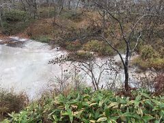 エゾリスをしばらく眺めた後は、遊歩道を進みボッケ（泥火山）へ。エコミュージアムセンターからは徒歩15分程でしょうか。