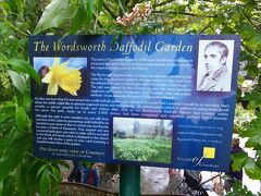 ワーズワース水仙庭園
(The Wordsworth Daffodil Garden)