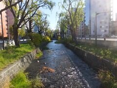 もう一度創成川に戻ります。
上流になってやや浅くなった感じ。
川を渡ってすすきのへ向かいます。