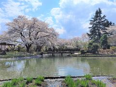 13:07　伊佐須美神社
あやめ苑前の駐車場、見頃は6月中旬から