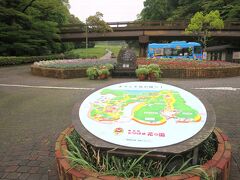 花の国、とーっても久しぶりです！

天気イマイチなのに、足を伸ばしたワケは…。
コロナ禍で2年前に始めた、イトコのY姉さん、姉さんのご近所のS夫人、ぶどう畑の3人のオンライントークで、花の国の話題がのぼりました。

以前はポピーやコスモスを観に行っていたことを思い出し、ググったら、最近は「ネモフィラ」も観れるよう。
ポピーはこれからかもしれないので、下見のつもりでやって来たのです。