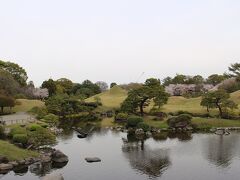 桜の名所というので、市電に乗って水前寺成趣園へ。