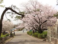 翌日も熊本は曇りのため、晴れ予報だった久留米城跡へ向かいました。