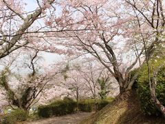 その後、桜の名所と紹介されていた発心公園へ。