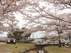 次に到着したのは亀山公園。