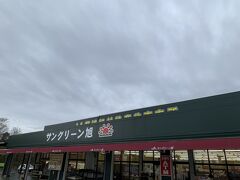 国道51号の旅の締めはサングリーン旭です。
お手頃価格のオトメメロンあるかな～と思って寄ってみましたが、高級アンデスメロンしか残っていませんでした。(贈り物には良いですが、自宅用にはちょっと贅沢…)
野菜も結構売れてしまっていたので、スナップエンドウだけ購入しました。

お天気には恵まれませんでしたが、その分人も少なかったし、一応写真も撮れたので良かったです。
また秋のコキアの季節にリベンジです。