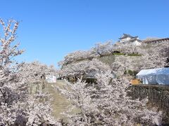 再度入場料を払って津山城跡へ。