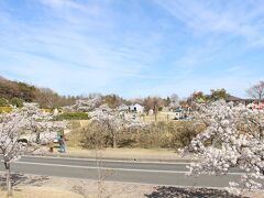 最後、みやま公園に立ち寄って、今回の旅は終了。
天気にも恵まれ、桜満喫の旅でした。