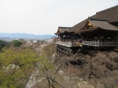 最後の目的地、清水寺。ここの舞台から見える桜も桜の名所の上位にランクされていた。哲学の道で見事な桜を見てしまったので、少し物足りない量だ。