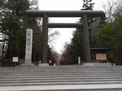 坂を登ると北海道神宮。かなり久しぶり。参道には桜が咲いていた。