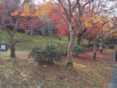 鏡山公園（東広島）に初めてやってきました。
近くのうどん屋さんでお昼ご飯を食べて、散策。
広～い敷地で、紅葉まっさかりでした！