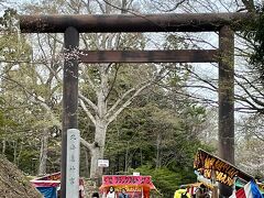 翌26日。今日は北海道神宮と円山公園の桜を見に行きます。
鳥居の下には、屋台が出ていました。