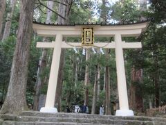 飛瀧神社の鳥居です。