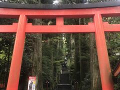 箱根神社到着。