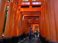 では、メインイベントである「伏見稲荷大社千本鳥居」を歩きます～、

意外ですが陽が差し込まない適度な暗さが神秘的な雰囲気を醸し出す…。

＊詳細はクチコミでお願いします