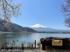 【4月12日（火）3日目】
この日は朝から、雲ひとつない快晴！
桜が見頃なので、河口湖周辺を散策することに。