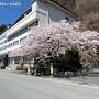 ◆甲斐の国◆富士と桜と湖を巡る温泉旅☆[３]河口湖畔の桜並木＆七福神めぐり（2022）