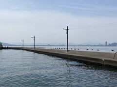 女木島到着です。
「カモメの駐車場」というアート。
防波堤にずらっと、カモメが並んでいます。