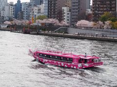同じ橋を渡って戻ります。（後から調べたら言問橋という名だった）
ピンクの船、桜に合ってるな。

東京では桜はとっくに終わりましたが、桜前線は今頃は北海道あたり？！
受験生を抱えてGWも特に遠くへは行けず、私はいつもながらの動物園とか観劇とかで終わりますが(笑)お出かけの方も多いかと。皆様、素敵なGWをお過ごしくださいね♪

最後までお読みいただきありがとうございました～！
