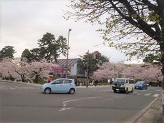 先にパイの感想を書きましたが、その前に弘前城へ桜を見に行ってました。

ホテルから5分ほどで見えてきました。