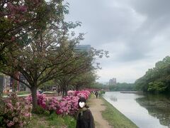 舞鶴公園 (福岡城跡)