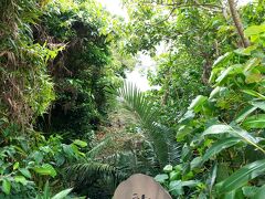 パワースポットその１