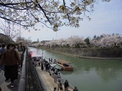 南禅寺船溜
船から見上げる桜、よさそうです！結構並んでる

対岸（写真右部分）は京都市動物園