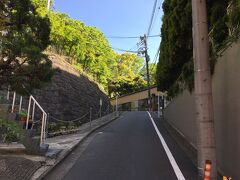 赤坂氷川神社を挟んで、氷川坂を反対側に本氷川坂があります。なだらかな部分と傾斜がきつい部分がありました。
