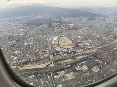 阪神競馬場