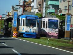 鹿児島市電
ちょうど２車両並んでいるタイミングで写真が撮れました。