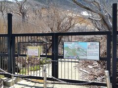 駒ヶ岳に至る健脚向け登山道は固く閉ざされままだ。
途中までは大涌谷自然研究路だったはずだか、こちら側は立入禁止。
湖尻へ下る散策路も閉鎖中。