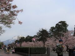 この日は晴れの予報だったけど、朝はまだ曇り。
だけど昨日よりは明るかったので、一人で弘前公園に行ってみました。

岩木山がくっきり見えました。