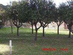 サンタ・プリスカ教会から北西に5分くらいの所にあるサヴェッロ公園です。オレンジの公園（Giardino degli Aranci）として親しまれています。アランチ庭園と表示されていることが多いみたいです。