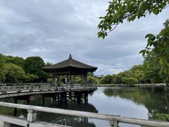 早朝、
雨が降る前に奈良公園散策。
JR奈良駅から、
奈良公園循環バス10分弱で
『春日大社前』下車。
駅から若草山に向かって緩やかな登り。
本数も多いのでバス利用も良いですね。