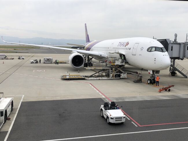 ん？<br />B777の予定だったのにA350が。<br />最初予約時は350だったんですが機材変更で777になってたのにまた350に変わったみたいですね。<br />この辺はタイ航空らしいです。