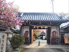 途中、｢櫻本坊｣という八重桜が美しく咲いている寺院の前を通り、帰りに寄ることに。