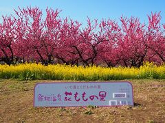 「飯坂温泉 花ももの里」
昼間の観賞時間には大学生以上は２００円の協力金を支払います